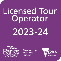 Tour Operator Licence: PV 2273 