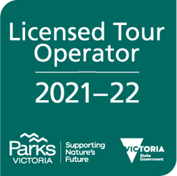 Tour Operator Licence: PV 2273 